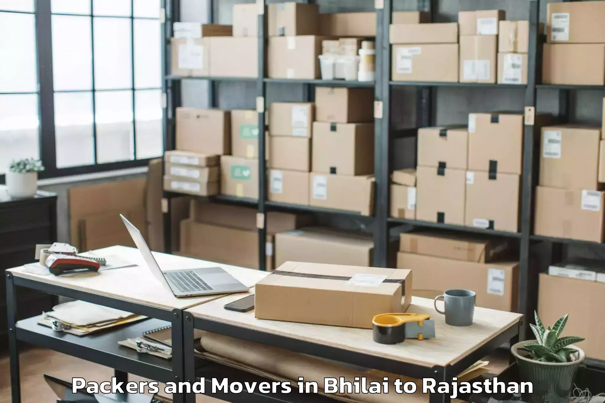 Professional Bhilai to Madhav University Pindwara Packers And Movers